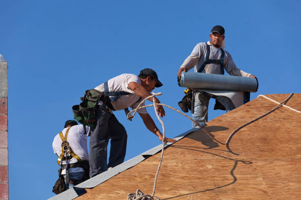Best Storm Damage Roof Repair  in Cold Spring, MN